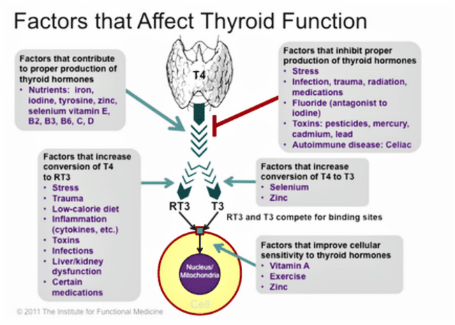 Factors affecting thyroid function, The Best Vitamins for Thyroid Disease 