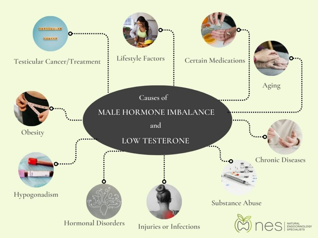 Causes of Male Hormone Imbalance and Low Testosterone illustration. 