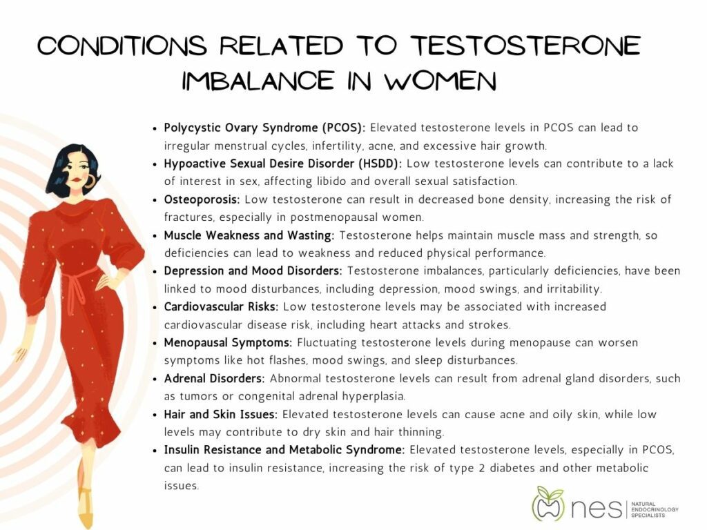 role of testosterone