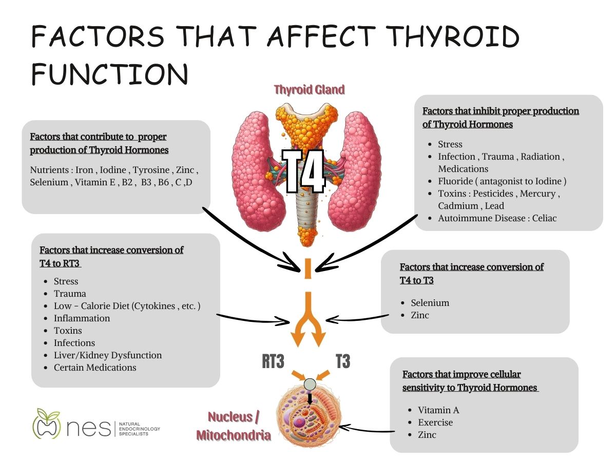 The Best Vitamins for Thyroid Disease