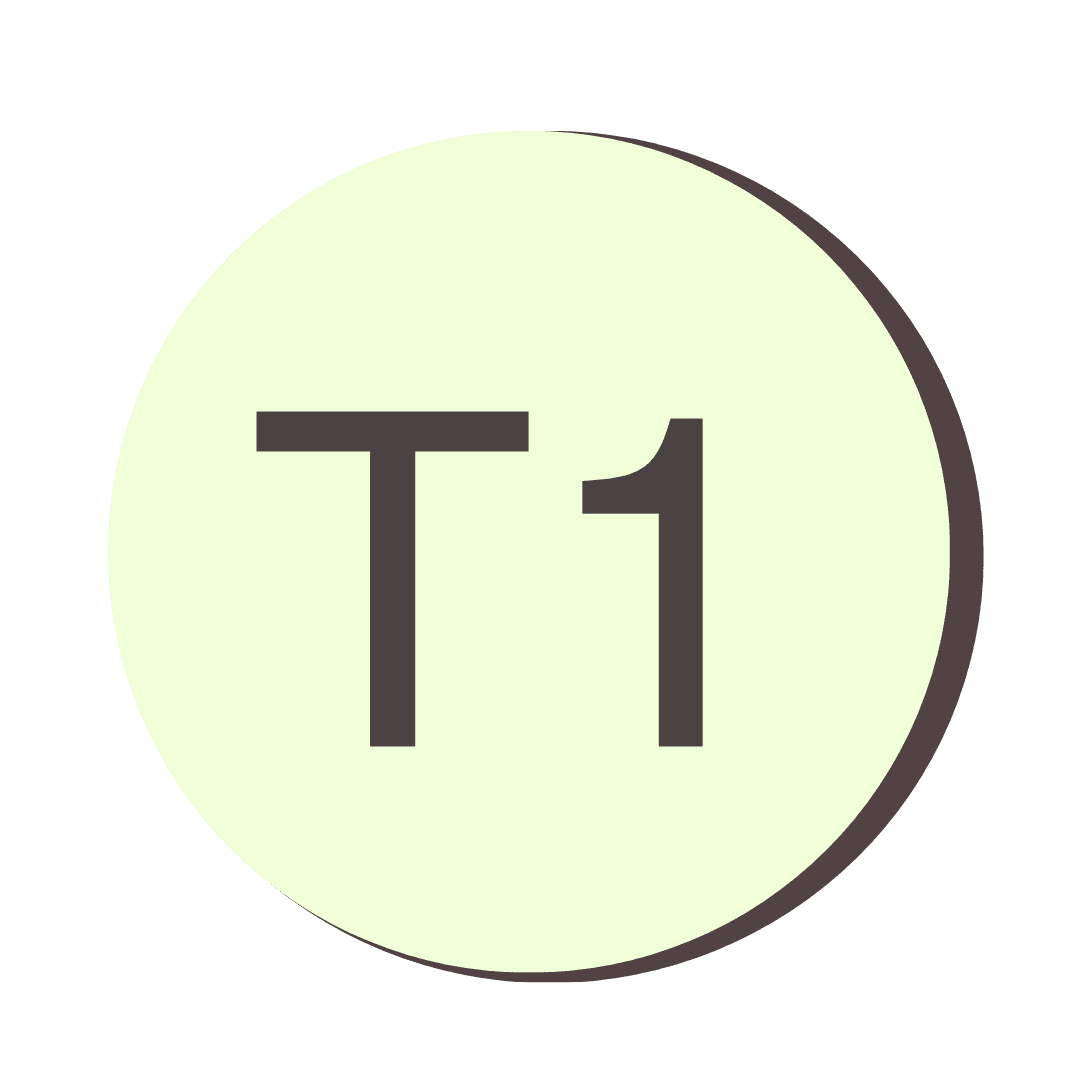 T1 icon on a transparent background