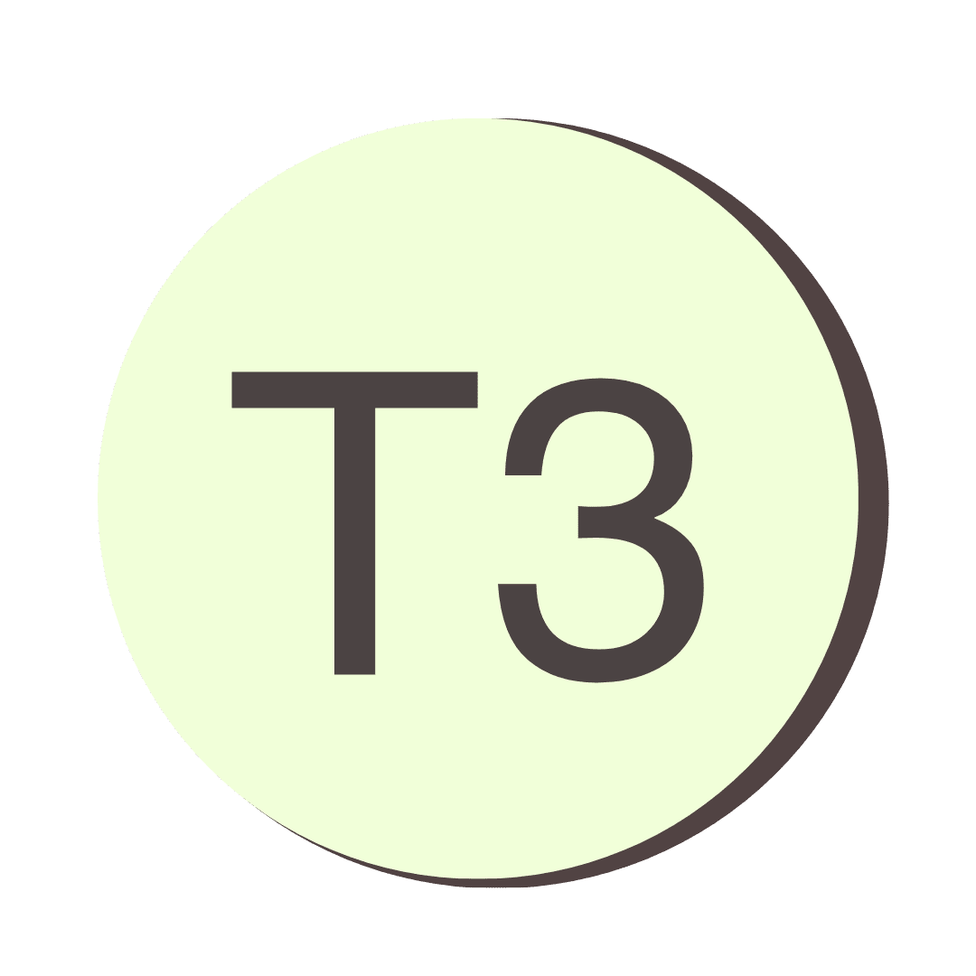 T3 icon on a transparent background