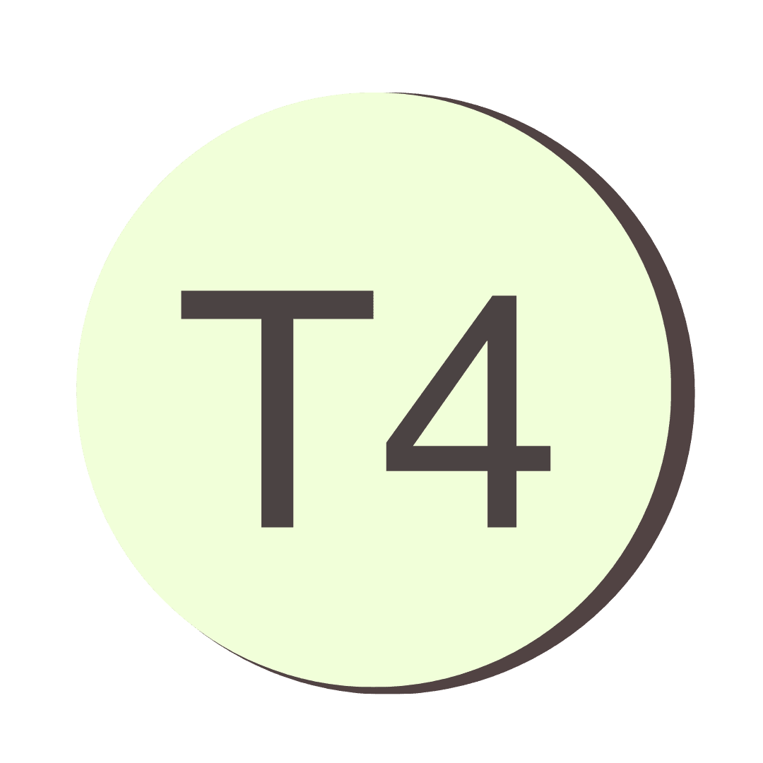 T4 icon on a transparent background