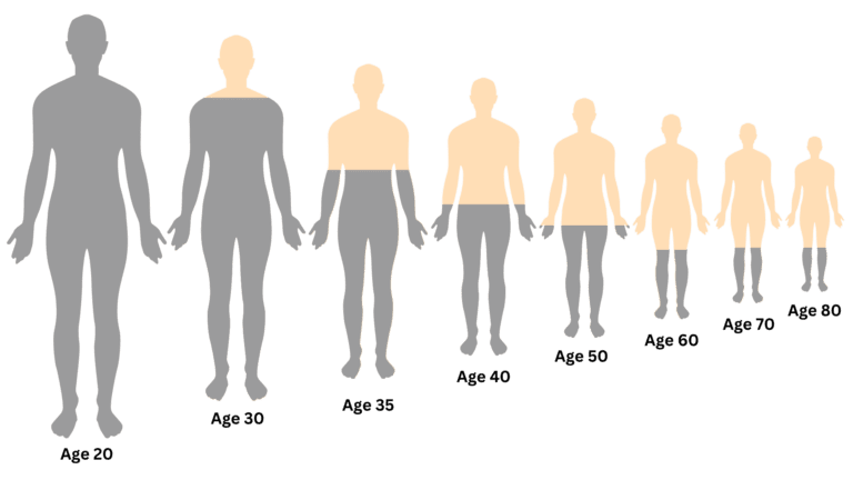 testosterone levels in males from age 20 to age 80