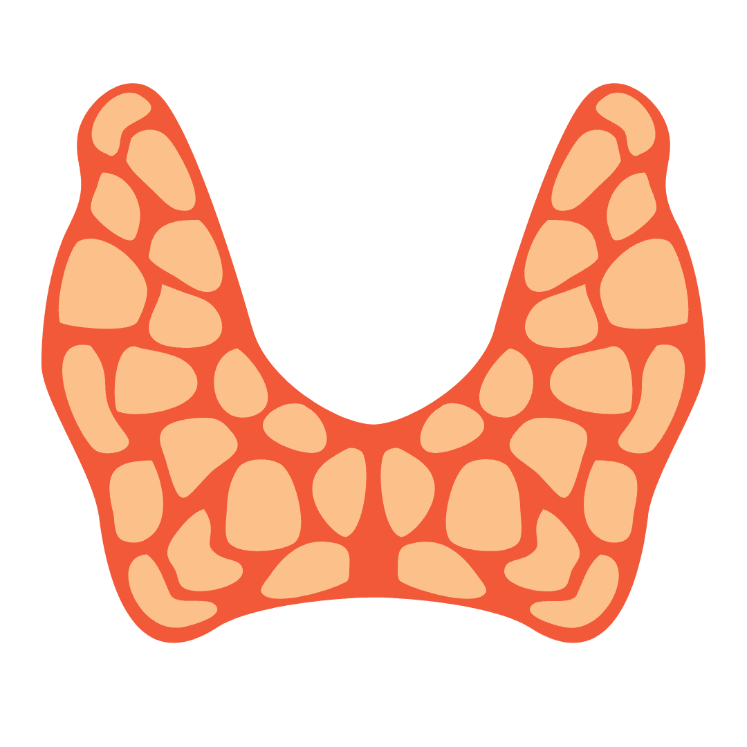 hypothyroidism icon on a transparent background